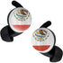 Mexico Flag Distressed Google Pixel Buds Skin